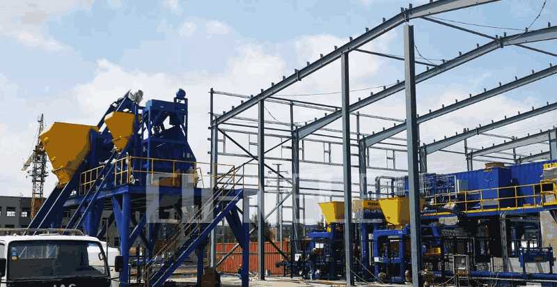 ǿ��������