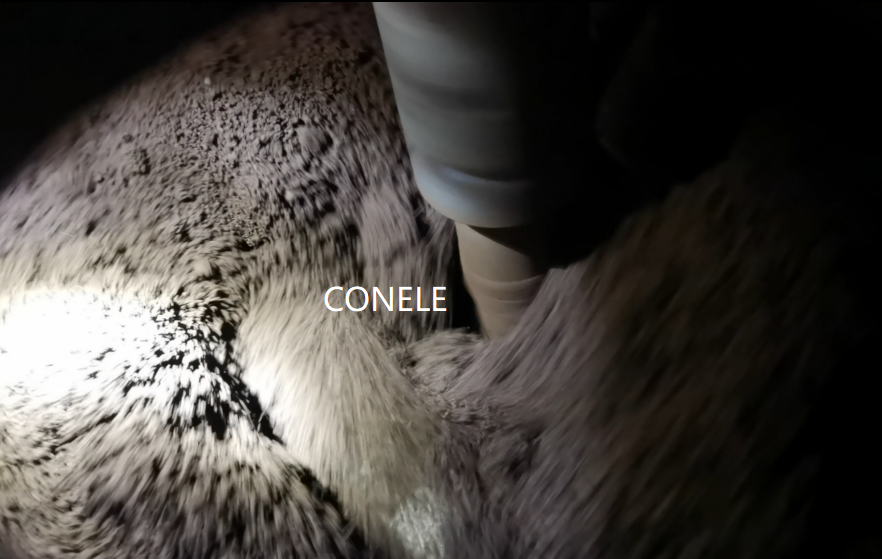 ���������������������